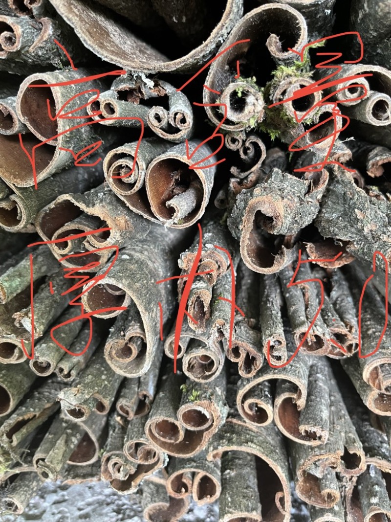 湖北省宣恩县椿木营富硒高含量籽油厚朴统货