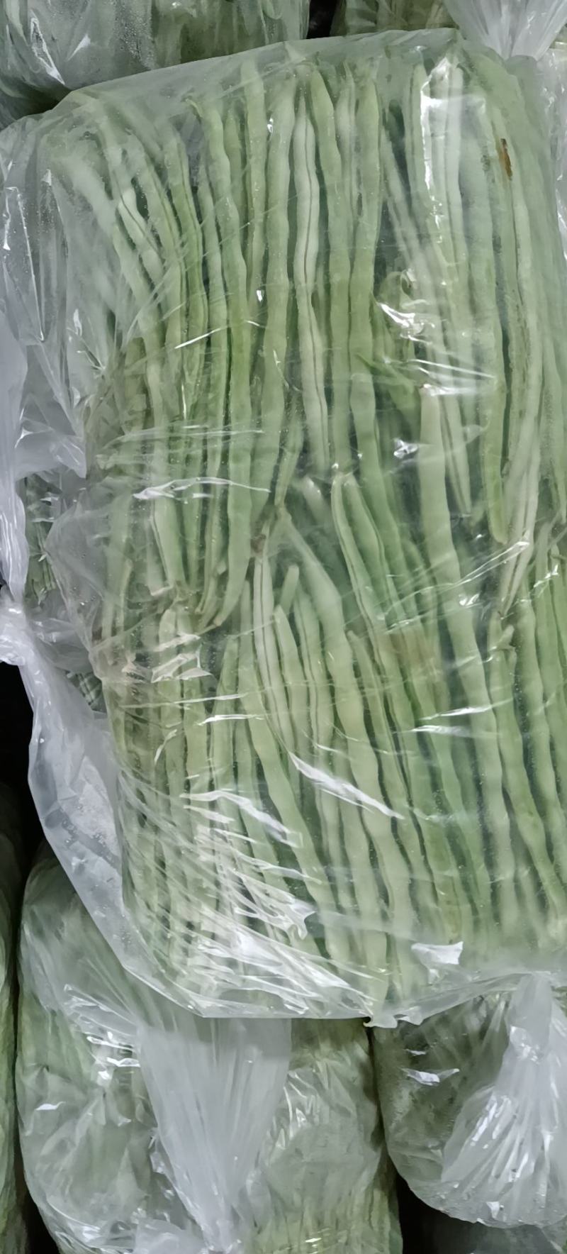 白芸豆