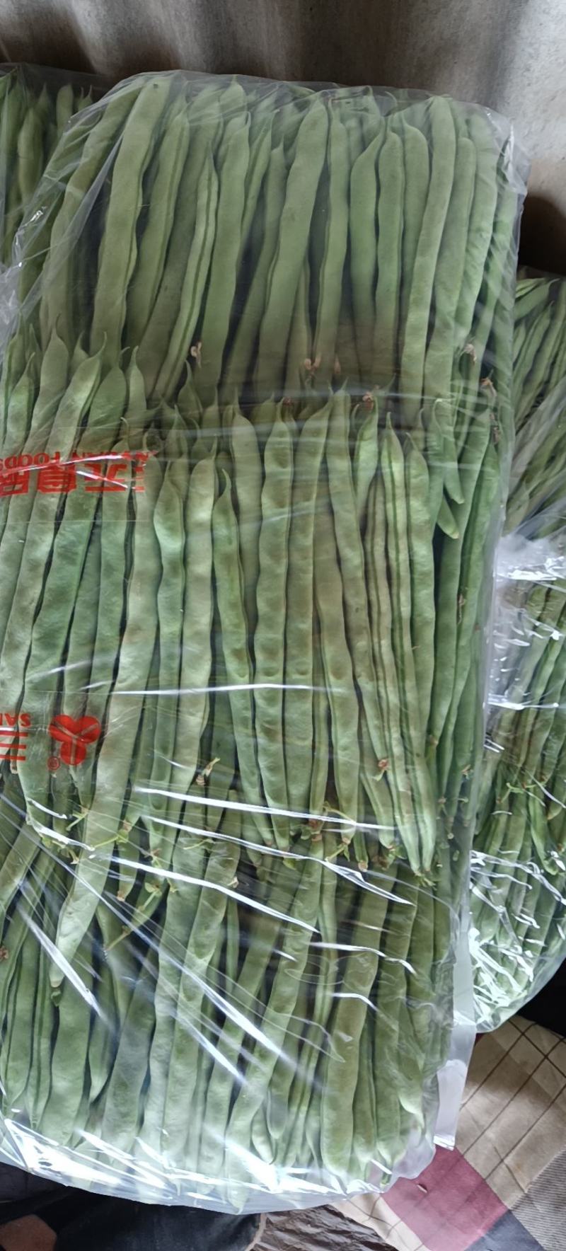 白芸豆