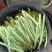 白芸豆