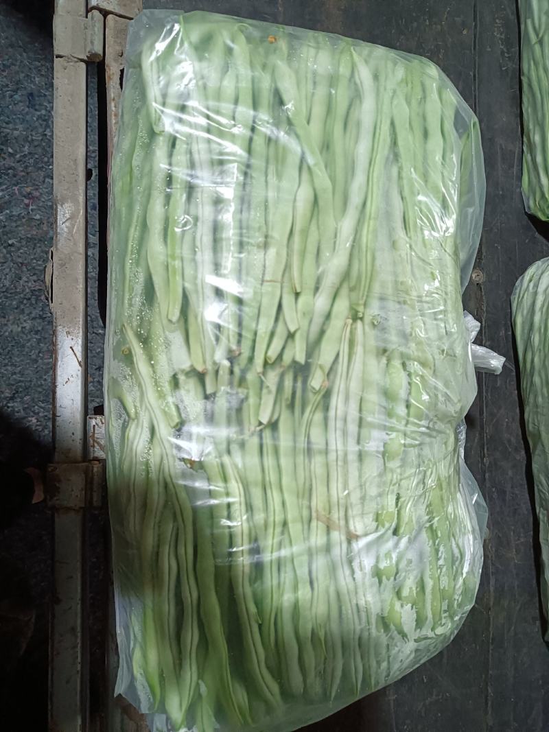 白芸豆