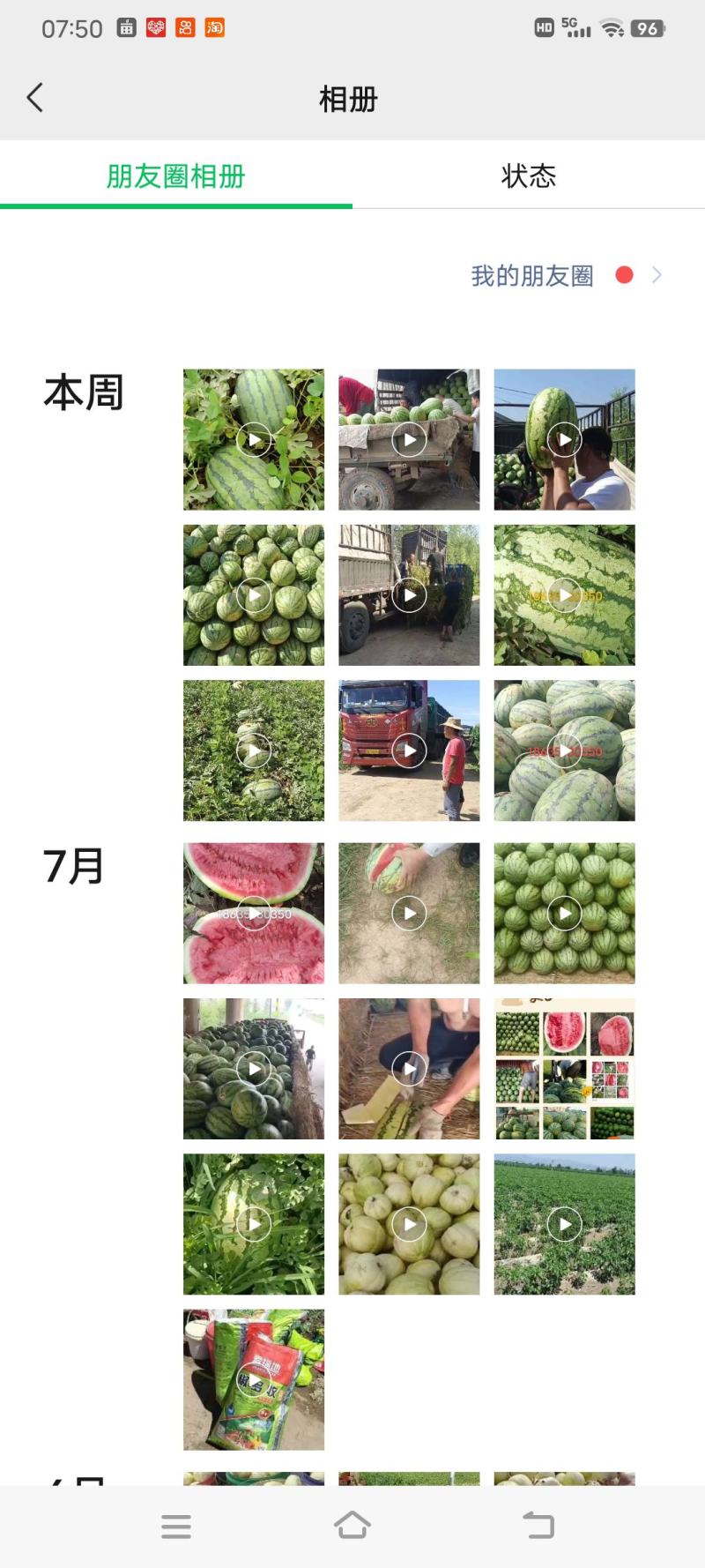 山西金城5号西瓜，忻州双红金5，金花一号，大量供应