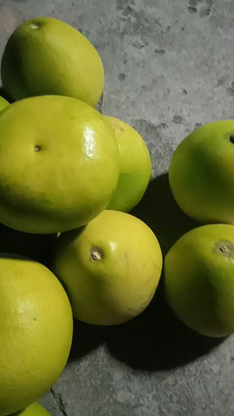 西双版纳黄金贡柚，傣柚