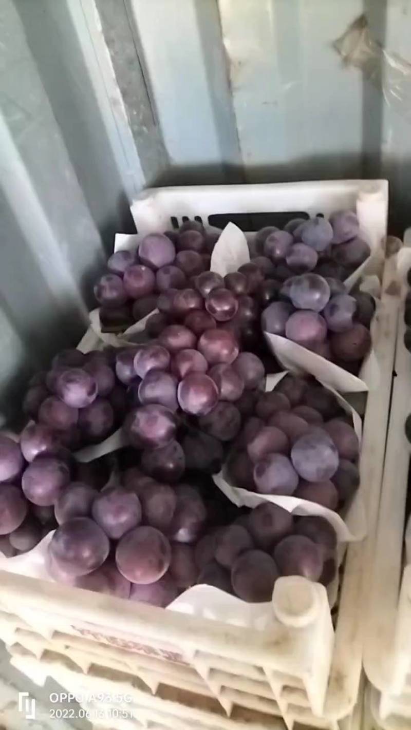 乒乓球大量上市了，需要的老公联系了。