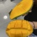 贵州大青芒