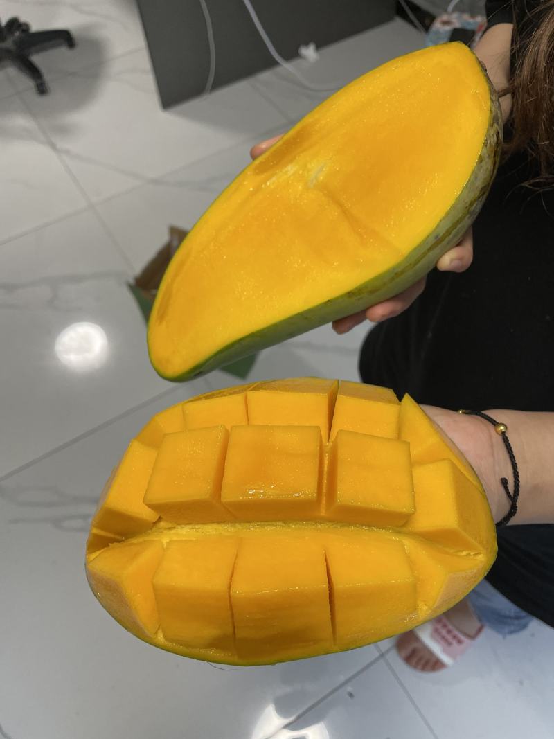贵州大青芒