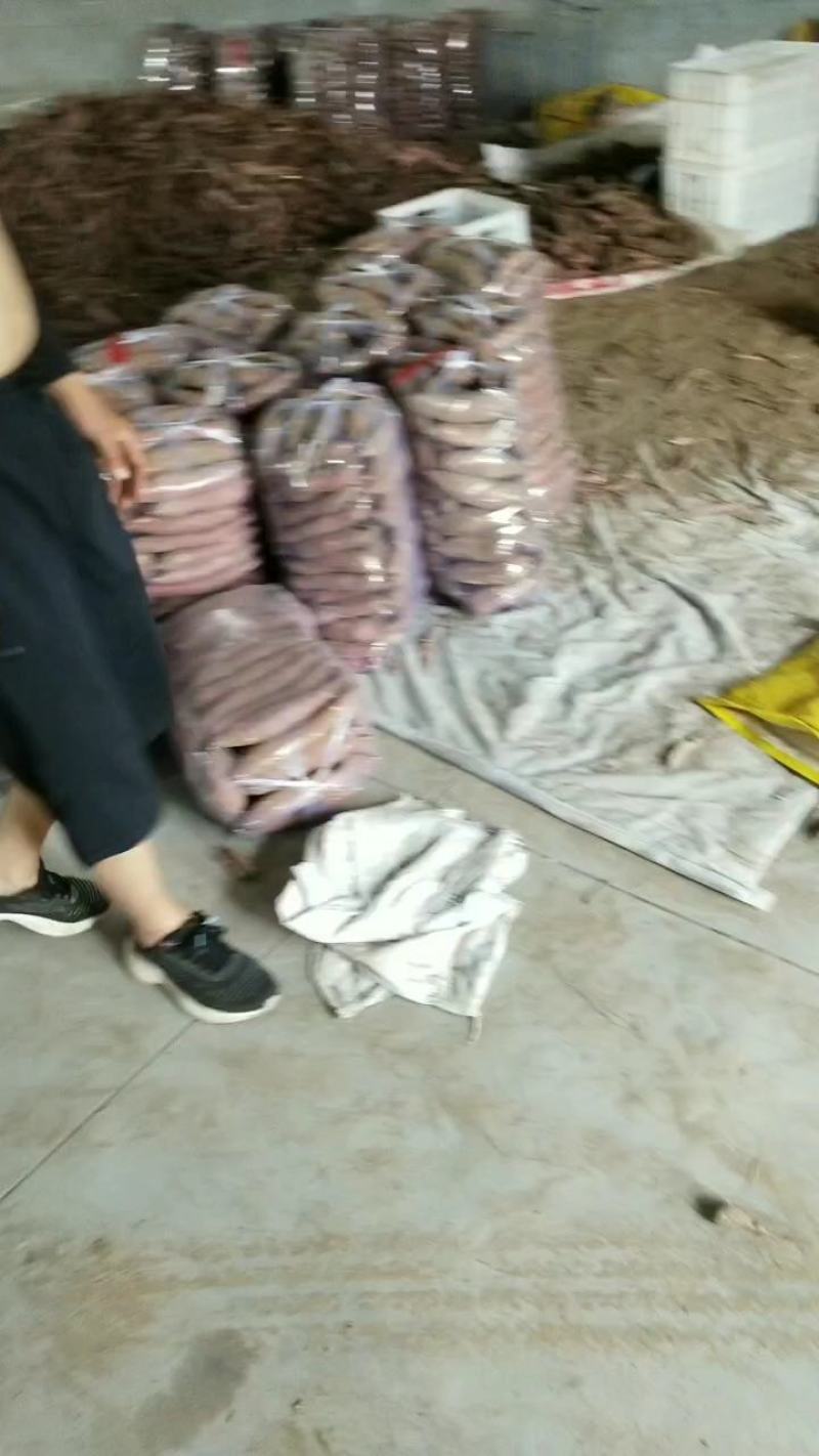 大荔县济薯26号，目前大量上市，欢迎新老顾客前来采购！！
