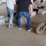 【推荐】毛蟠11号新桃上市价格美丽欢迎全国老板咨询