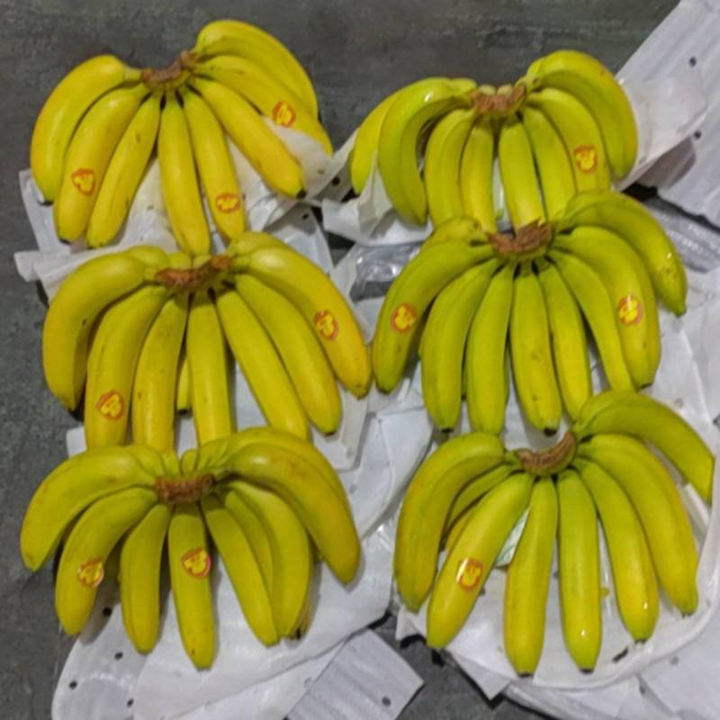 精品特价二黄无花皮无硬心口感软糯香甜证件齐全可发全国