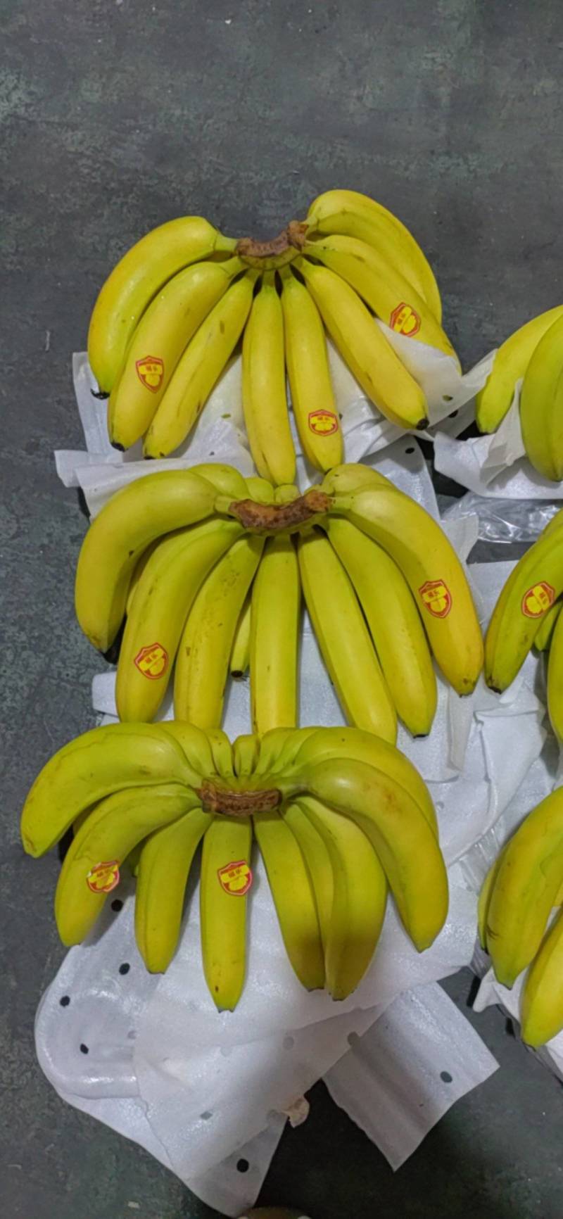 精品特价二黄无花皮无硬心口感软糯香甜证件齐全可发全国