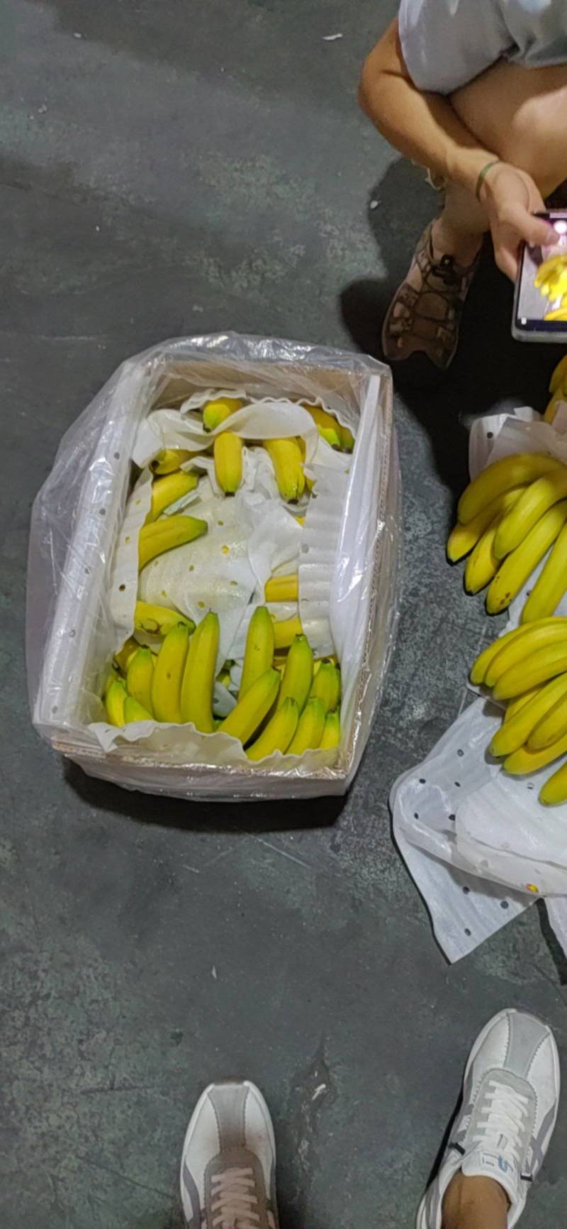 精品特价二黄无花皮无硬心口感软糯香甜证件齐全可发全国