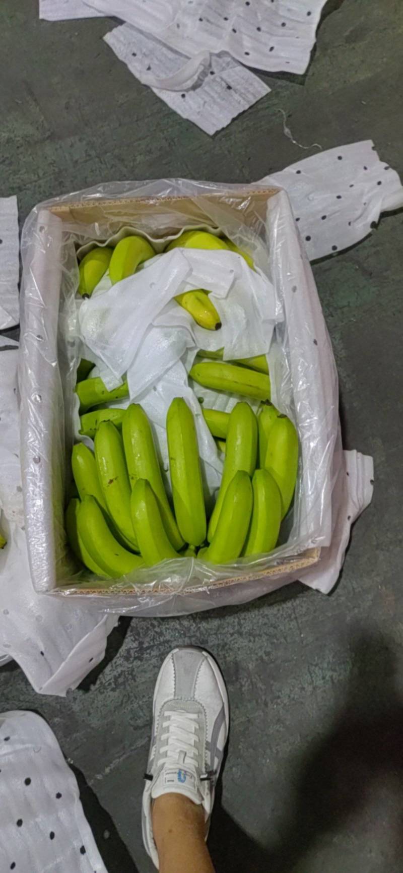 精品特价二黄无花皮无硬心口感软糯香甜证件齐全可发全国