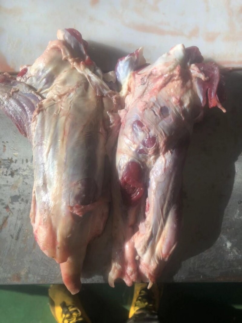 国产牛腱子，两件起发，欢迎咨询洽谈合作事宜，长期有货。