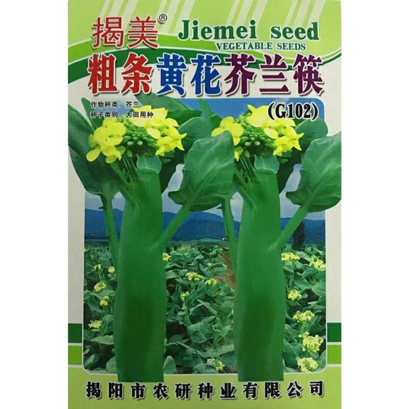 芥兰菜种子广东甜脆鸡腿芥蓝种籽香菇芥兰菜种子南方小介兰菜