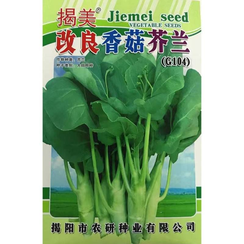 芥兰菜种子广东甜脆鸡腿芥蓝种籽香菇芥兰菜种子南方小介兰菜