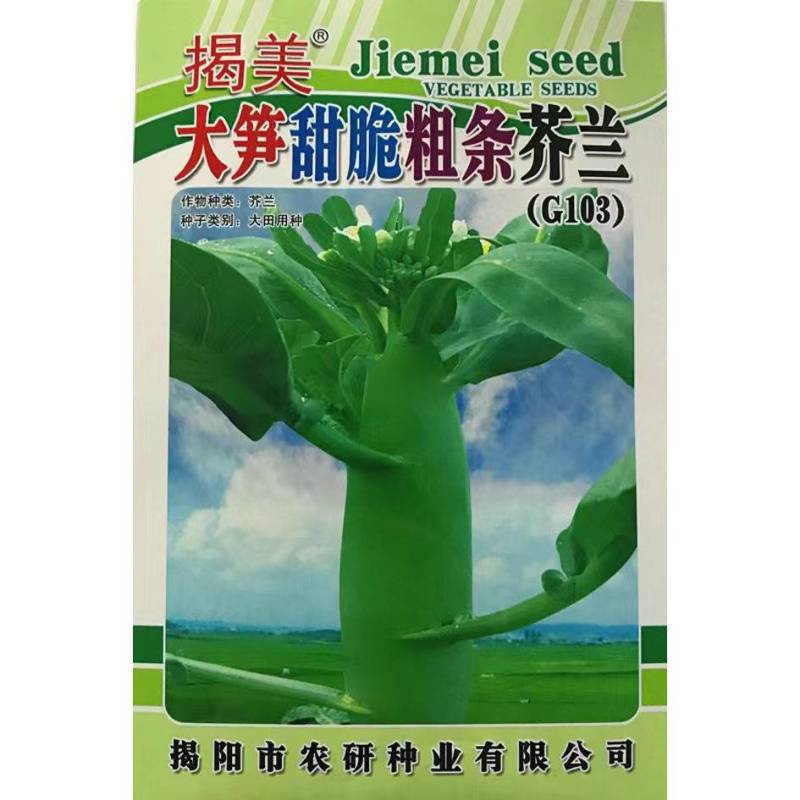 芥兰菜种子广东甜脆鸡腿芥蓝种籽香菇芥兰菜种子南方小介兰菜