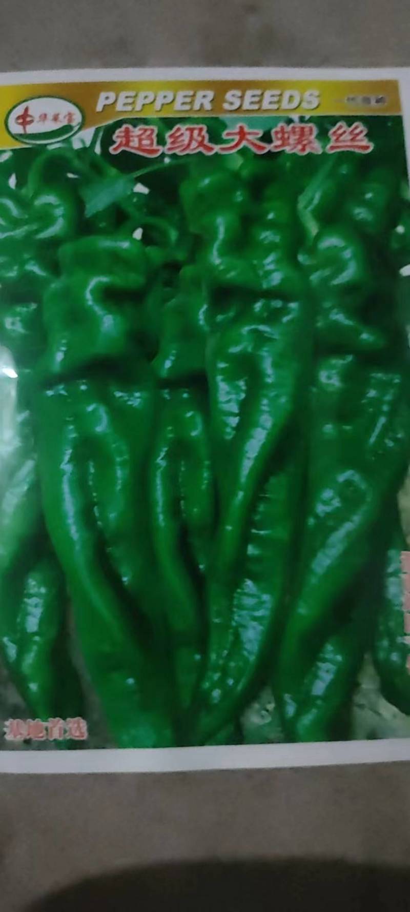 各种品种辣椒