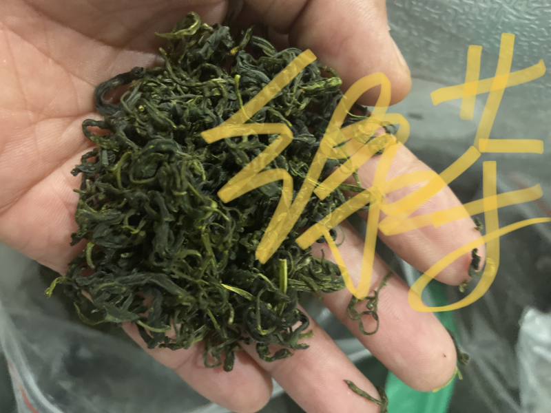 绿茶