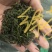 绿茶