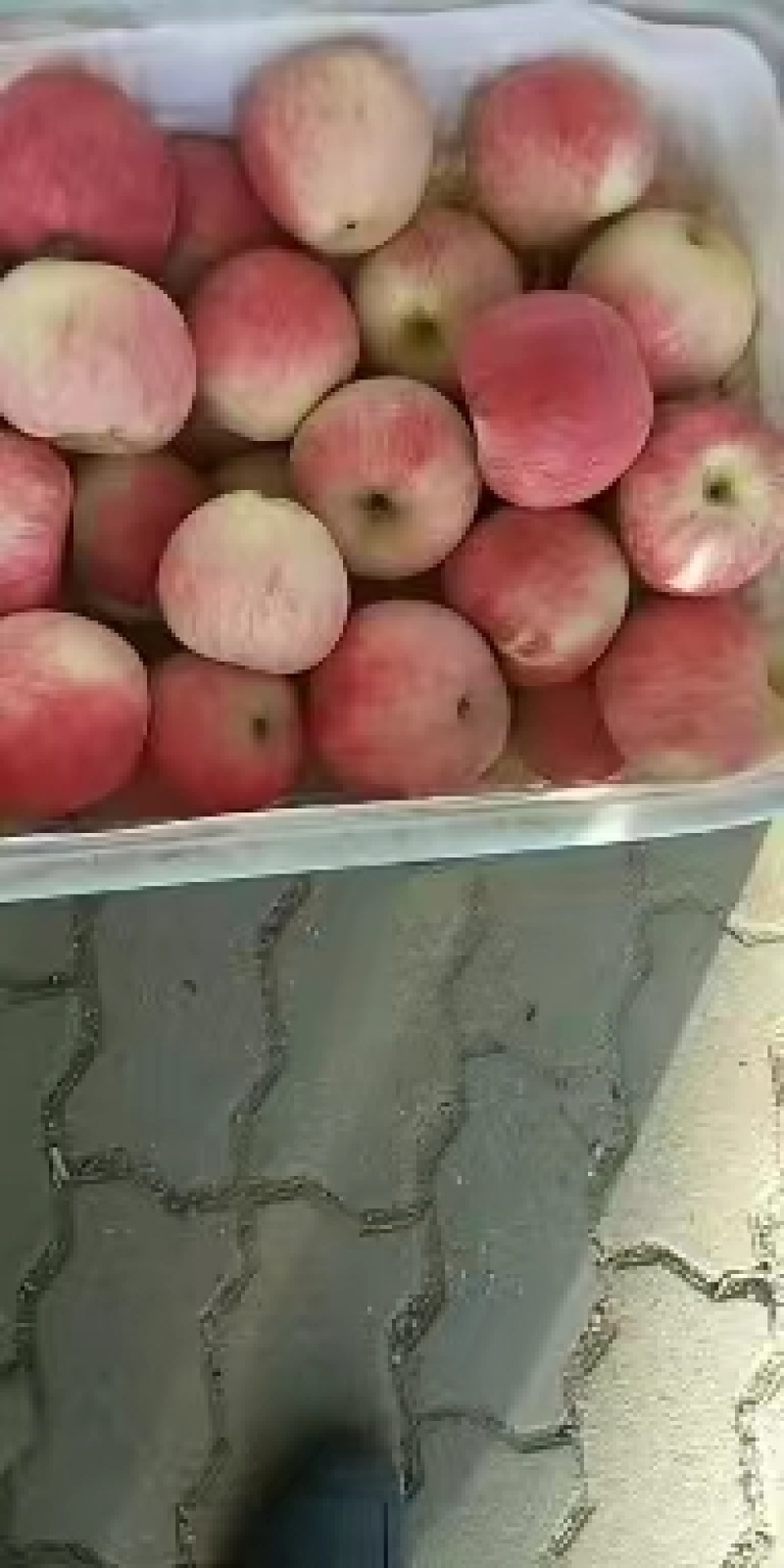 美八苹果红露苹果上市了。货源充足，口感脆甜