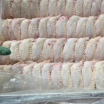 老鸡翅/种鸡翅