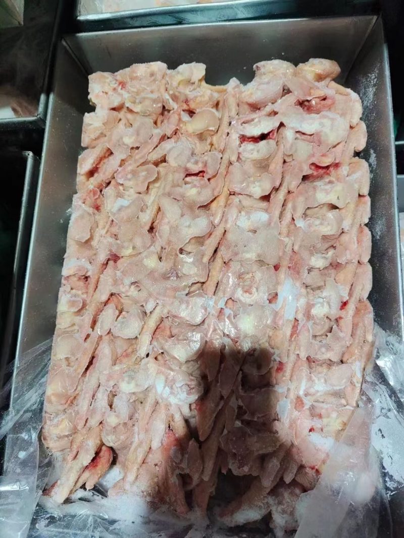 老鸡翅/种鸡翅