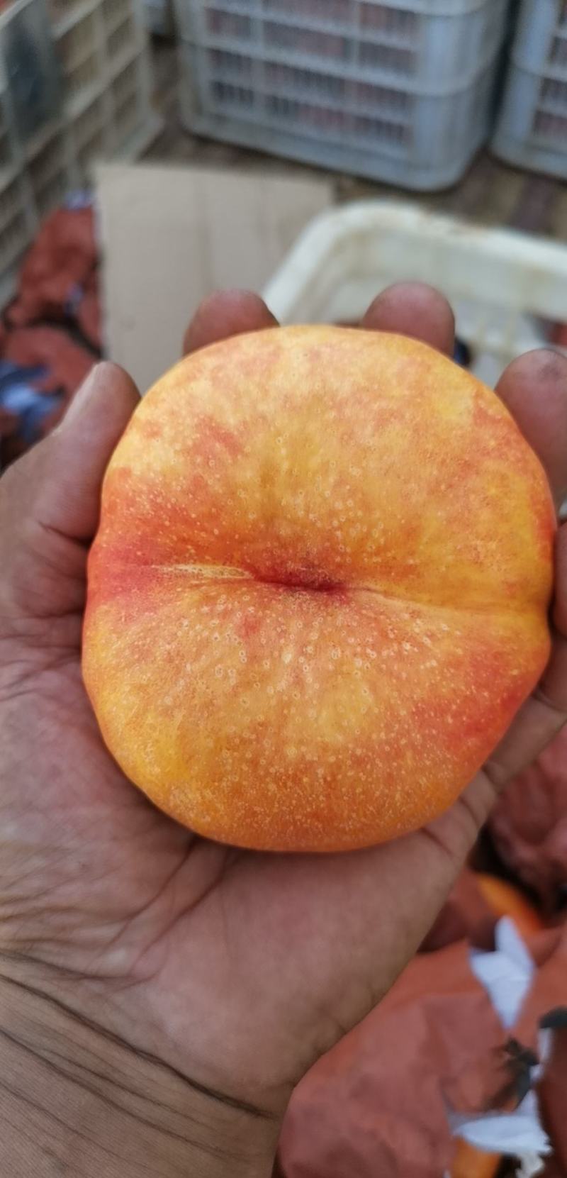 油蟠桃精品