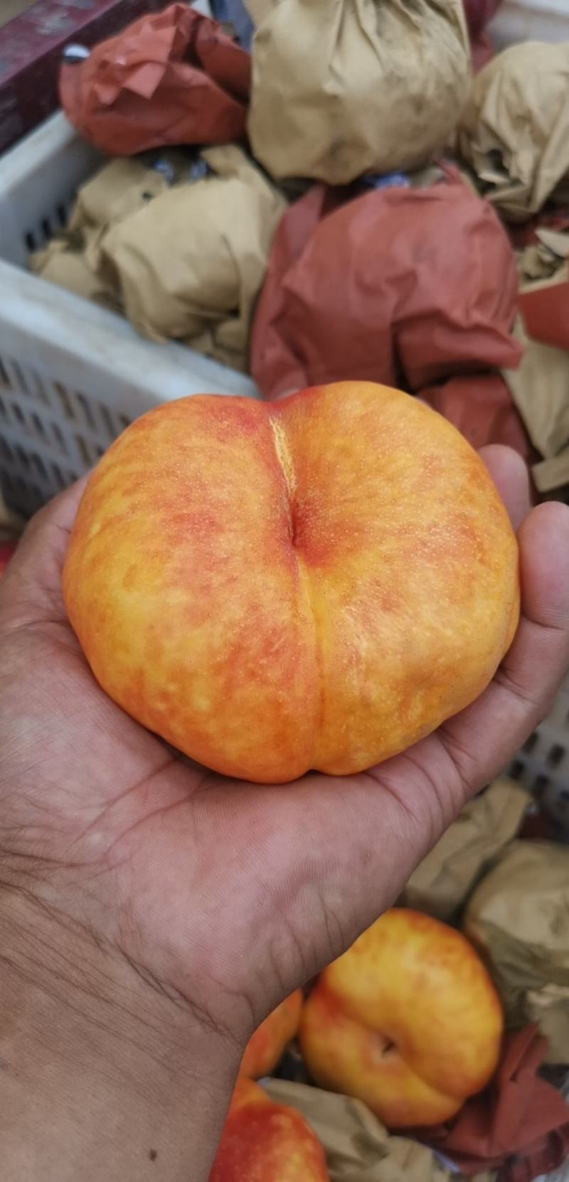 油蟠桃精品