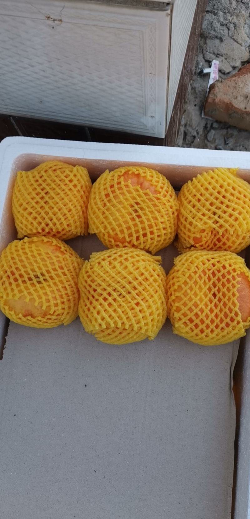 油蟠桃精品