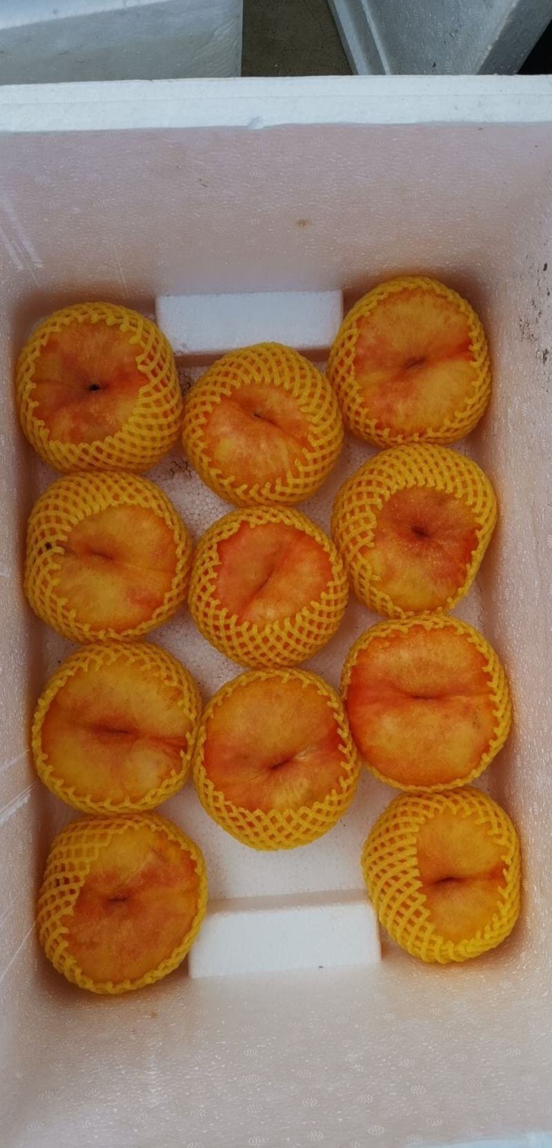 油蟠桃精品