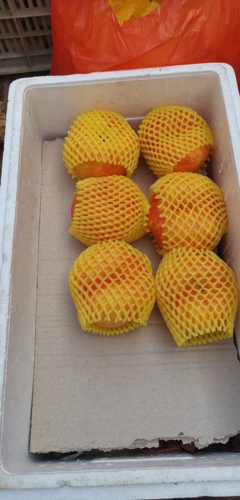 油蟠桃精品