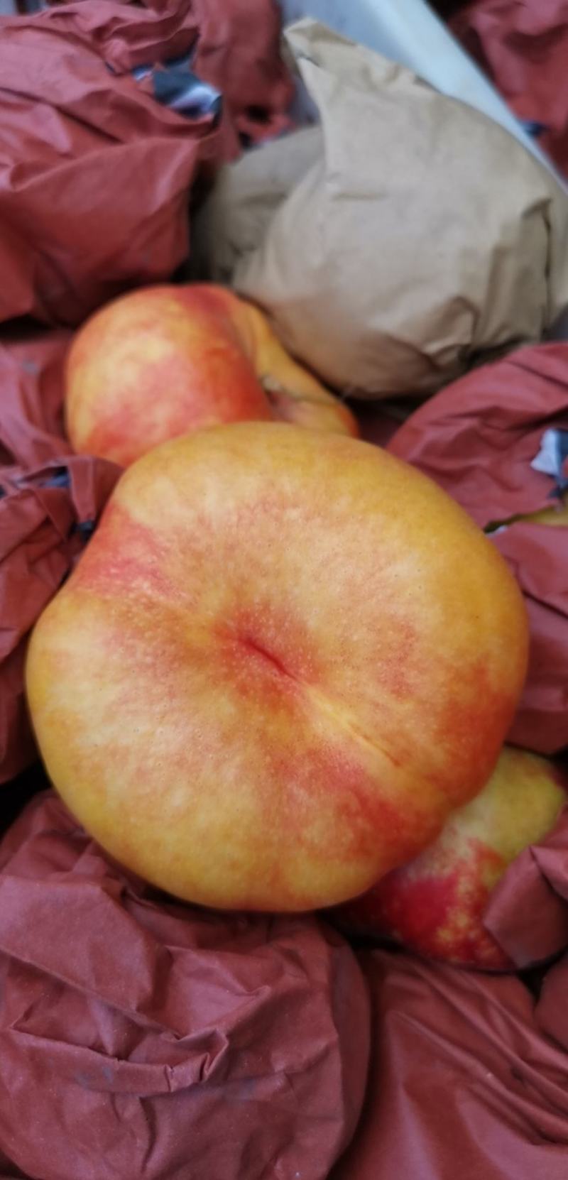 油蟠桃精品