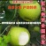 安徽砀山皇冠梨大量上市！价格便宜，甘甜多汁欢迎老板来采购