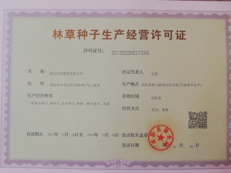 马齿苋种子野菜种子野生马齿笕种子蔬菜种籽