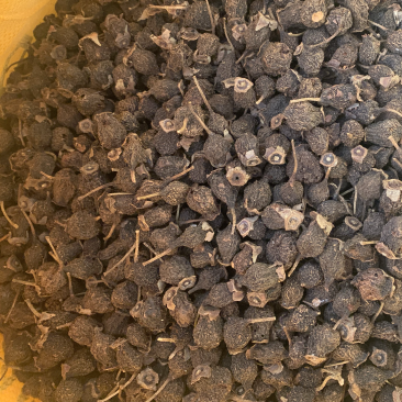 金刺梨干果现货发货无籽中药材泡酒代饮茶