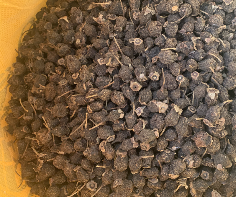 金刺梨干果现货发货无籽中药材泡酒代饮茶