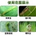 甲维虱螨脲杀虫剂菜青虫食心虫卷叶蛾甜菜夜蛾棉铃虫