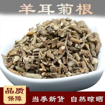 羊耳菊根白牛胆中药材量大质优价格优惠欢迎咨询采购
