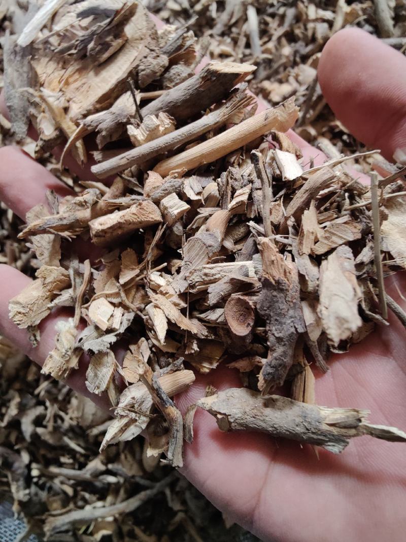 羊耳菊根白牛胆中药材量大质优价格优惠欢迎咨询采购