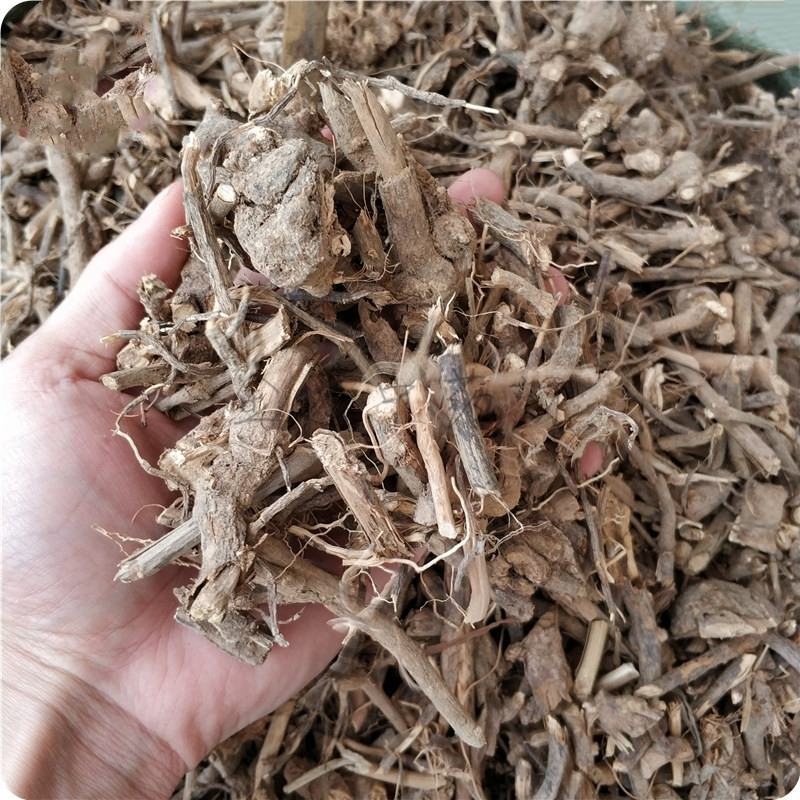 羊耳菊根白牛胆中药材量大质优价格优惠欢迎咨询采购