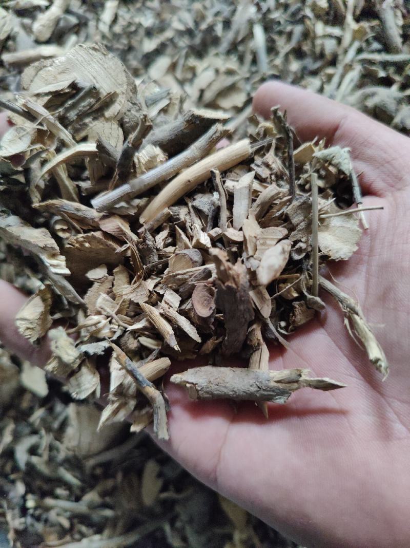 羊耳菊根白牛胆中药材量大质优价格优惠欢迎咨询采购