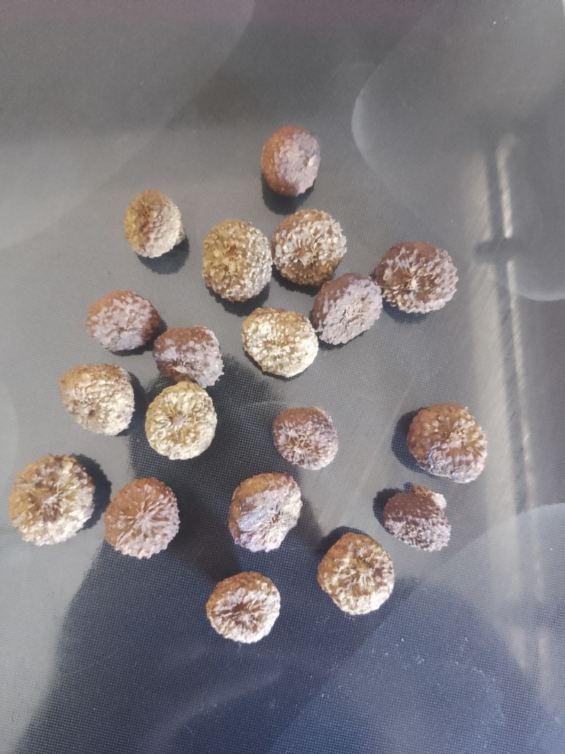 刺梨干果