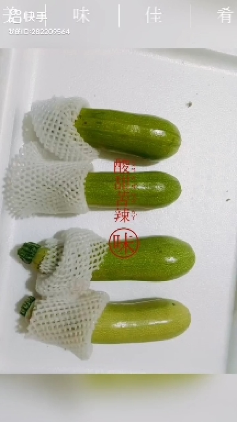 甘肃兰州高原夏菜常年代收代发各类蔬菜水果，保质保量，诚信