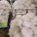 甘肃兰州高原夏菜常年代收代发各类蔬菜水果，保质保量，诚信
