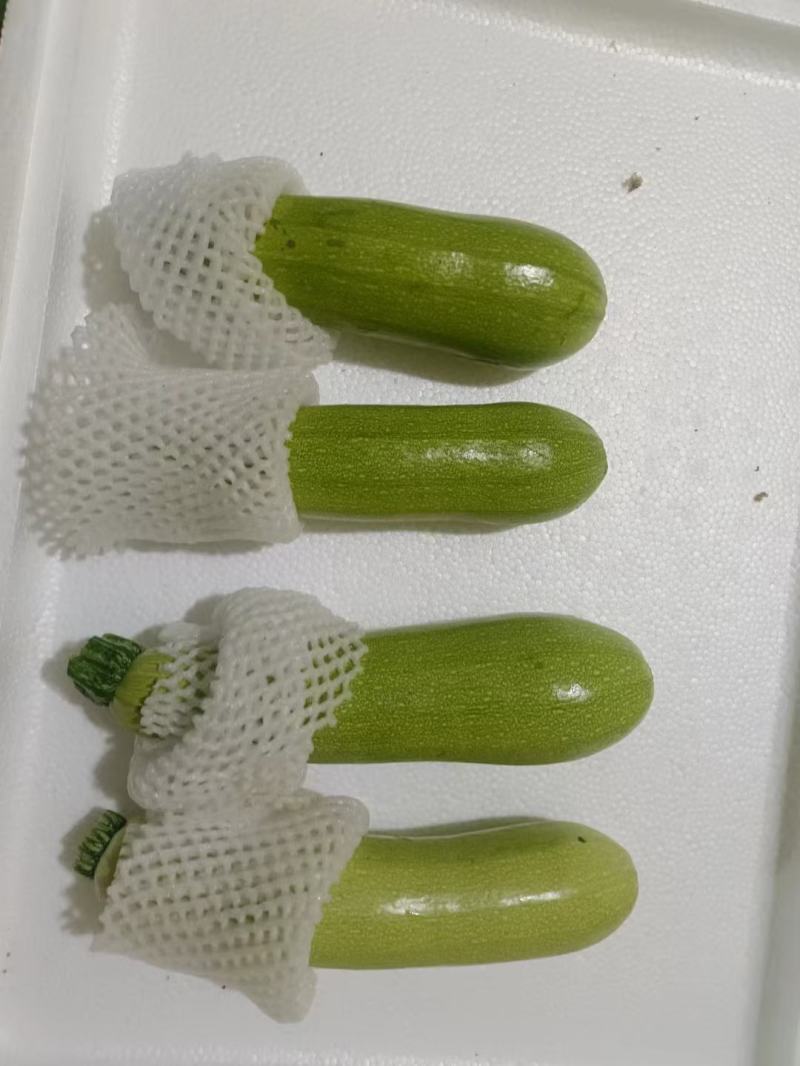 甘肃兰州高原夏菜常年代收代发各类蔬菜水果，保质保量，诚信