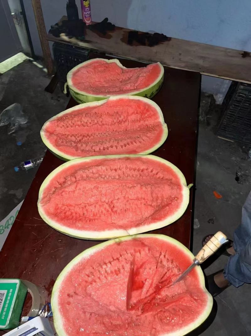 【特推】硒砂瓜石头瓜，糖度13+质量保证