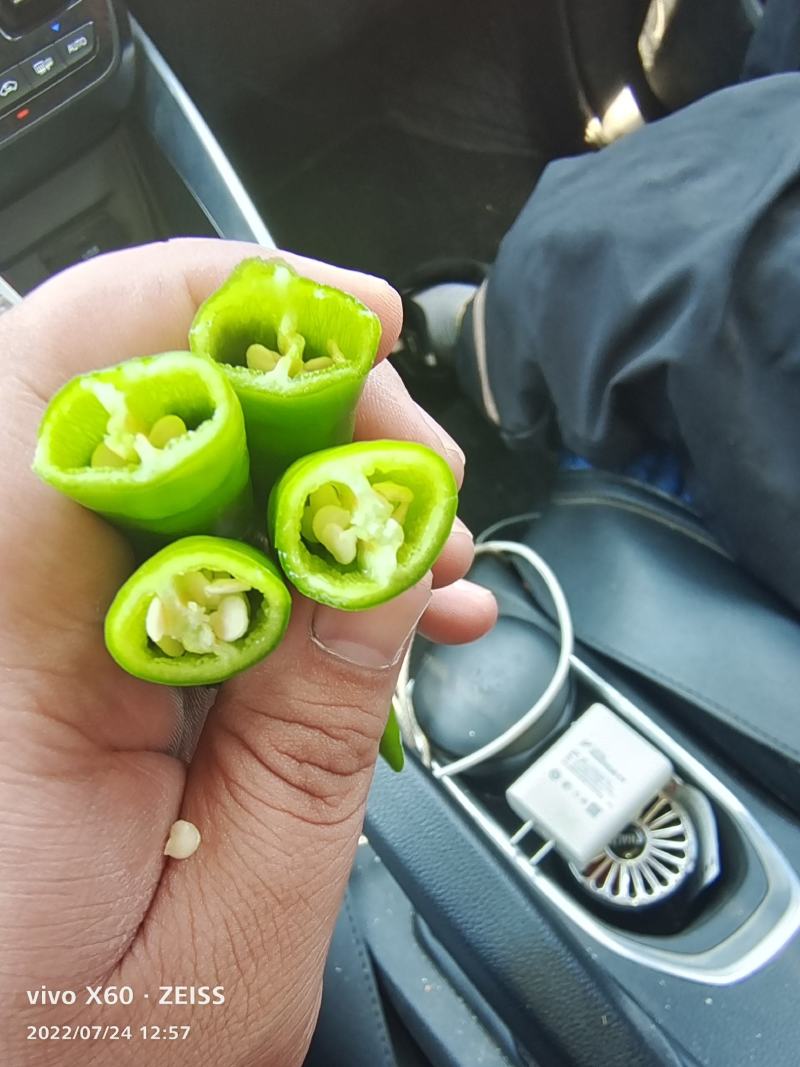 精品辣椒杭椒有辣度色泽鲜亮