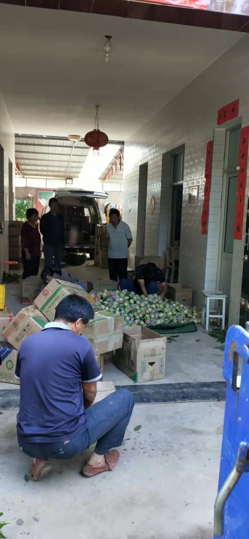 杠六利核油桃已上市，有需要的客户可提前联系咨询