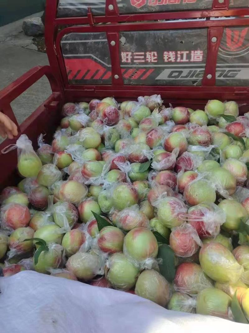 杠六利核油桃已上市，有需要的客户可提前联系咨询