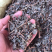 精选野生藤茶霉茶